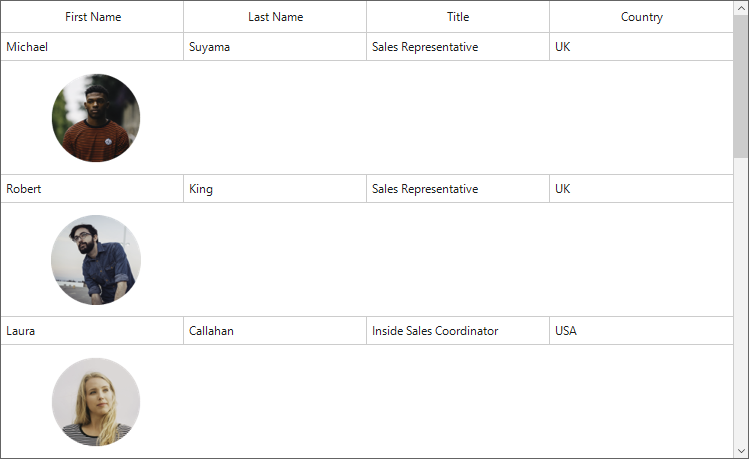 Winforms datagrid shows display the image in preview rows in the cell