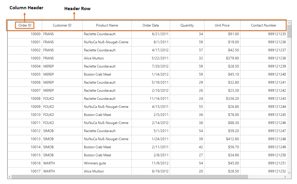 Windows forms datagrid showing header row