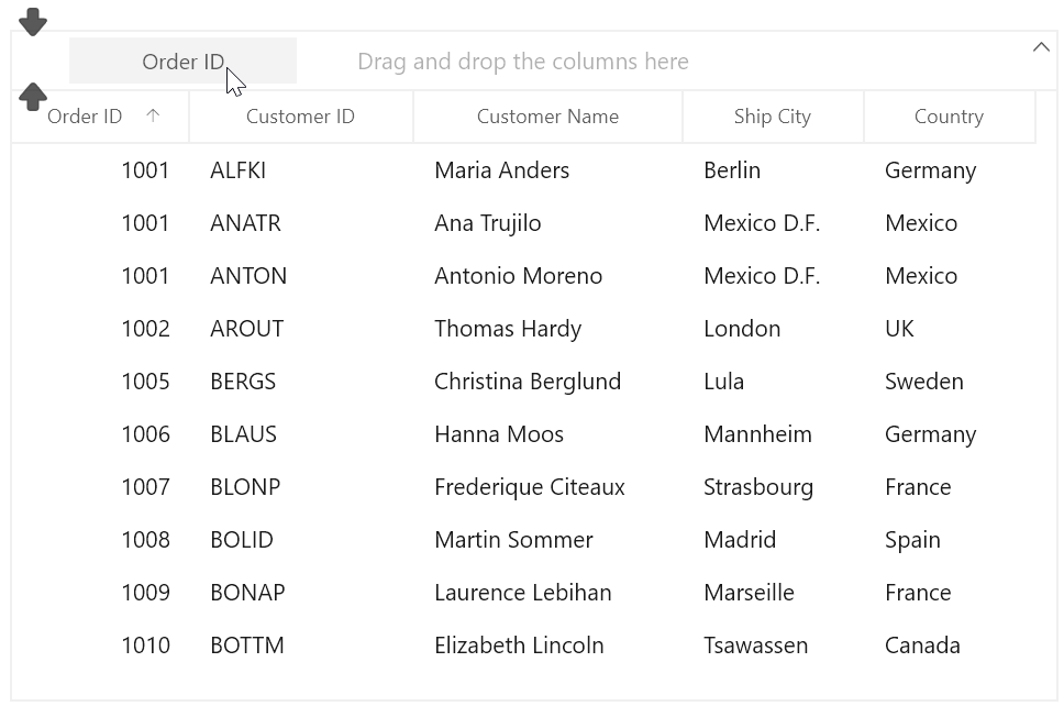 WinUI DataGrid with Custom Group Drop Area Text
