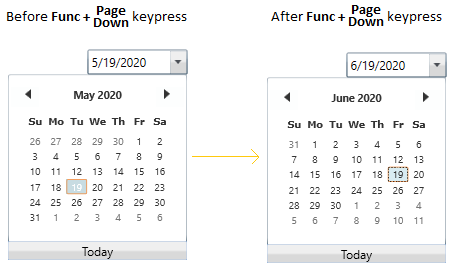 Navigate to next date or month or year