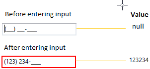 WPF MaskedEdit displays Value in Various Formats