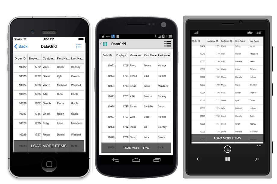 DataGrid with LoadMore functionality