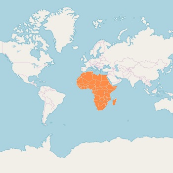 Sublayer support in Xamarin.Forms Maps